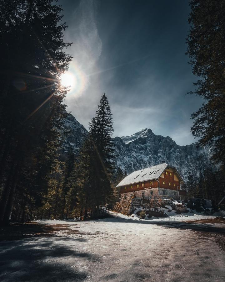 Apartma Borovc Mojstrana Luaran gambar