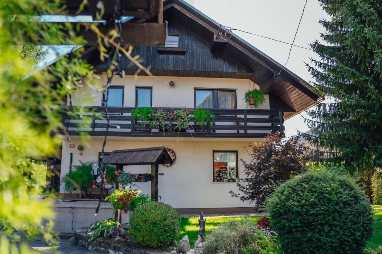Apartma Borovc Mojstrana Luaran gambar