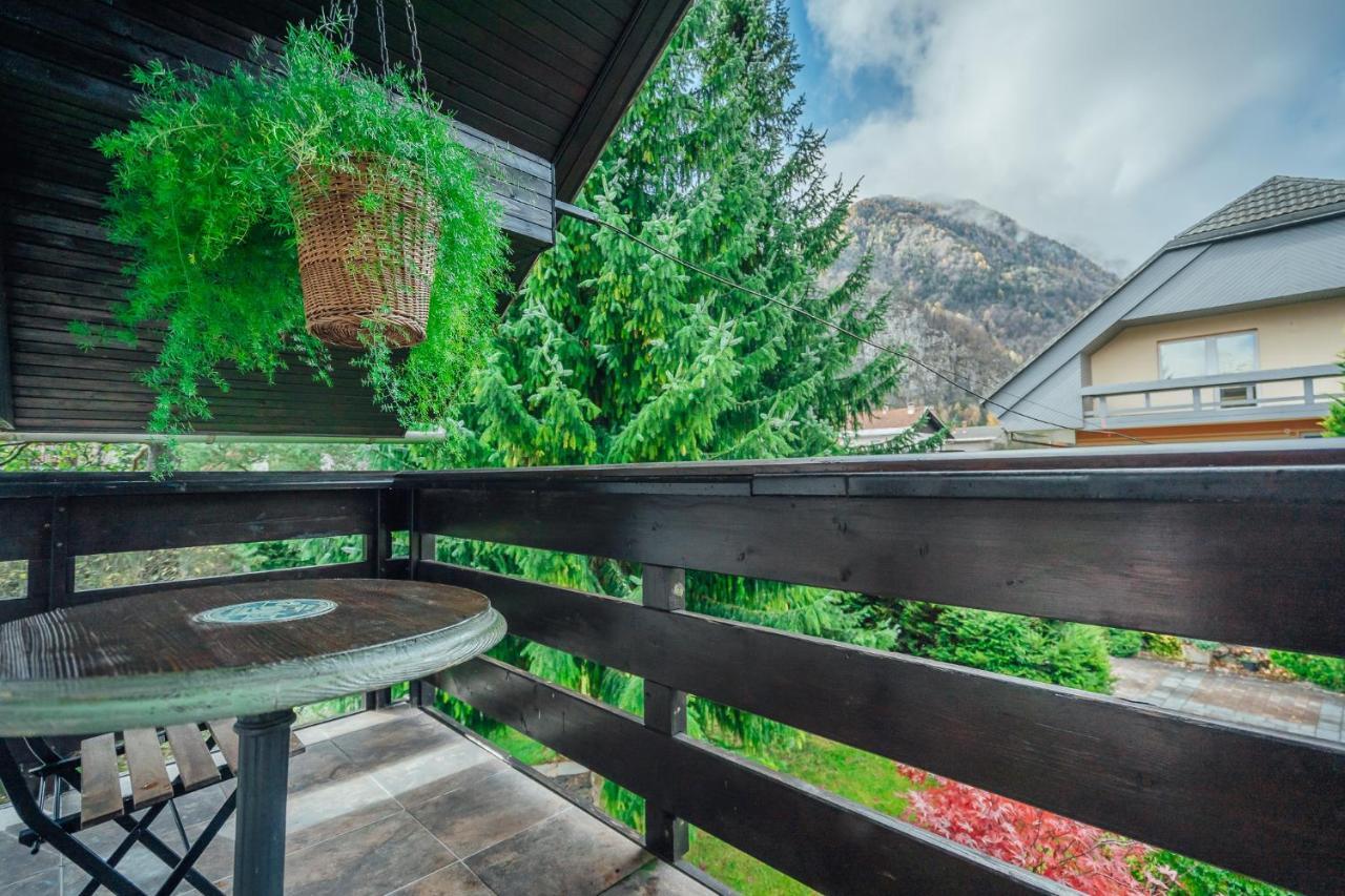 Apartma Borovc Mojstrana Luaran gambar